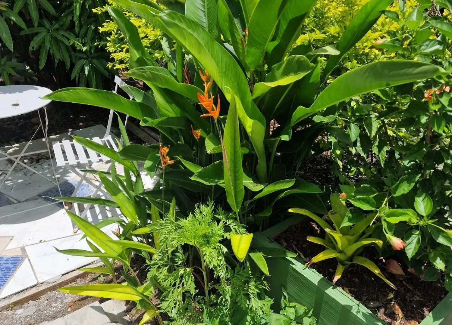 Modern Garden Apartment Close To Airport And Sea Vieux Fort