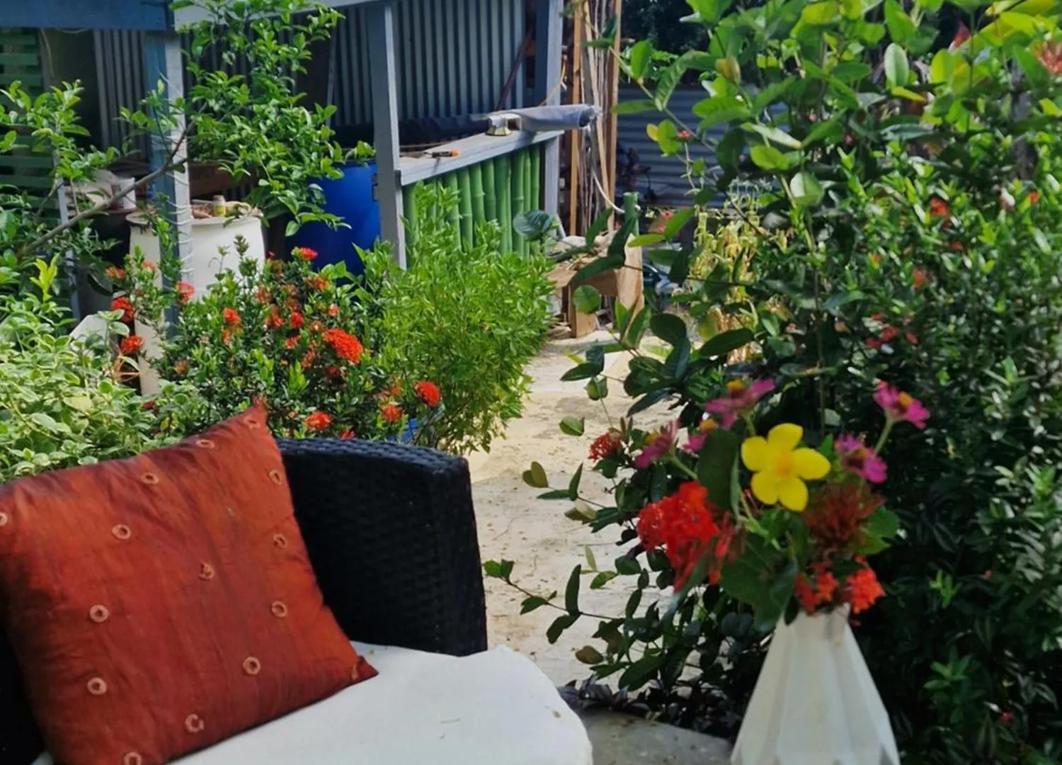 Modern Garden Apartment Close To Airport And Sea Vieux Fort 0*,